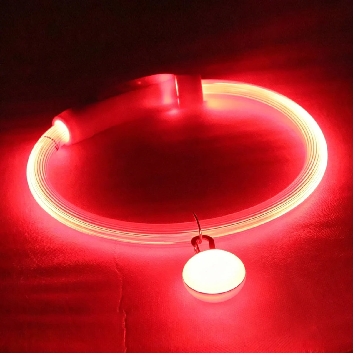 USB Rechargeable LED Dog Luminous Collar With Luxury Light Detachable Pendant Glow Waterproof Cuttable Pet Night Safety Collar