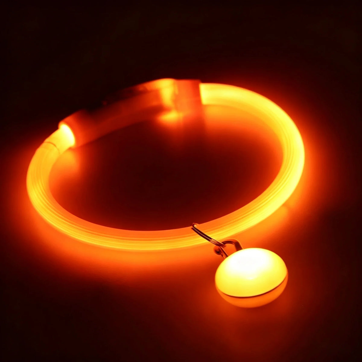 USB Rechargeable LED Dog Luminous Collar With Luxury Light Detachable Pendant Glow Waterproof Cuttable Pet Night Safety Collar