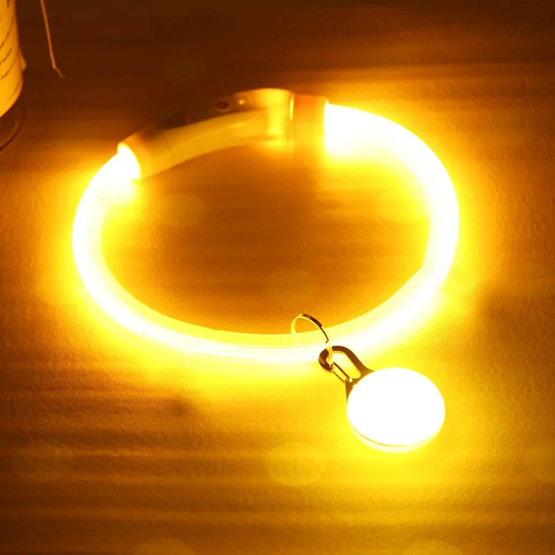 USB Rechargeable LED Dog Luminous Collar With Luxury Light Detachable Pendant Glow Waterproof Cuttable Pet Night Safety Collar
